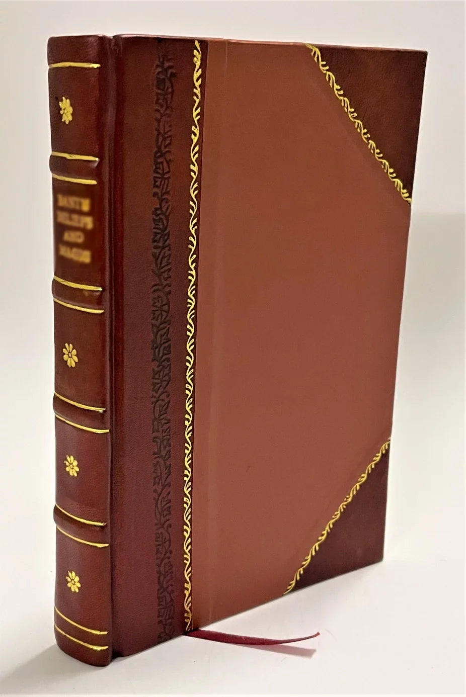 Elogio di Maria Bianchi nata Brunelli / Eugenio Rumori (1857) [Leather Bound]
