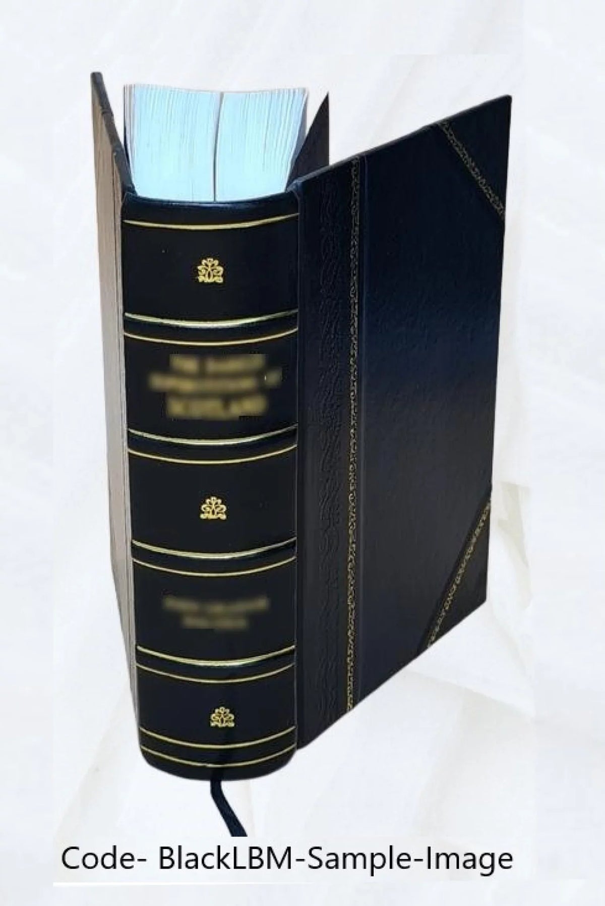 Apparatus biblicus, sive Manuductio ad Sacram Scripturam, tum clariùs, tum faciliùs intelligendam. Auctore r.p. Bernardo Lamy, .. 1723 [Leather Bound]