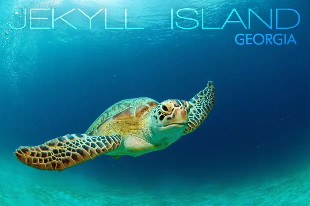 Jekyll Island, Georgia, Sea Turtle (19x27 inches, Premium 500 Piece Jigsaw Puzzle for Adults and Family, Made in USA)