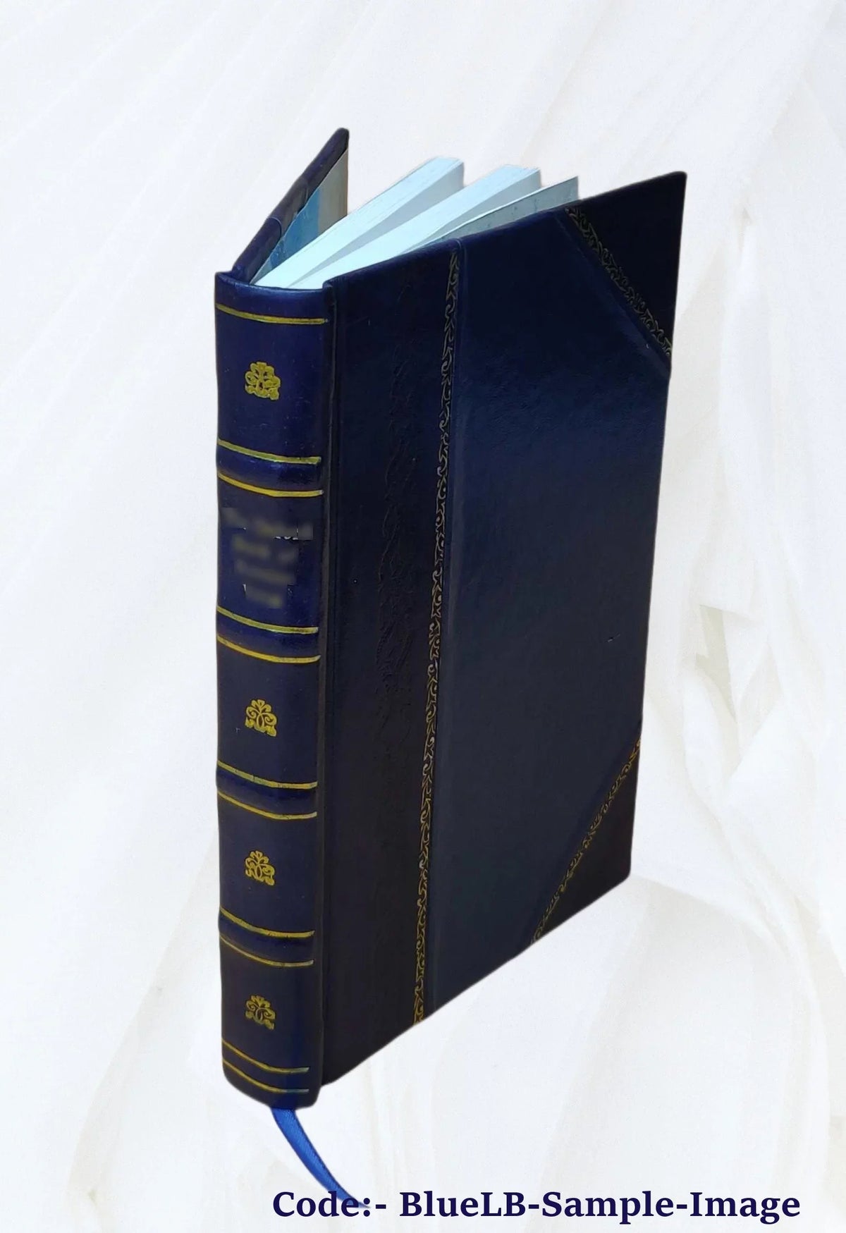 A round-the-world jingle, by Charlotte C. Davenport; illustrations by Harold Field Kellogg, from photographs by Shepherd Stevens and others. 1918 [Leather Bound]