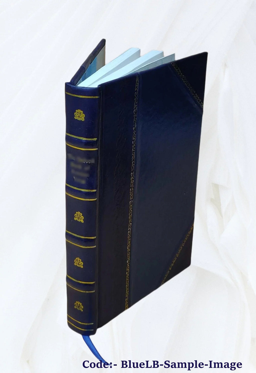 Alethea : at the parting of the waves Volume v.1 [Leather Bound]