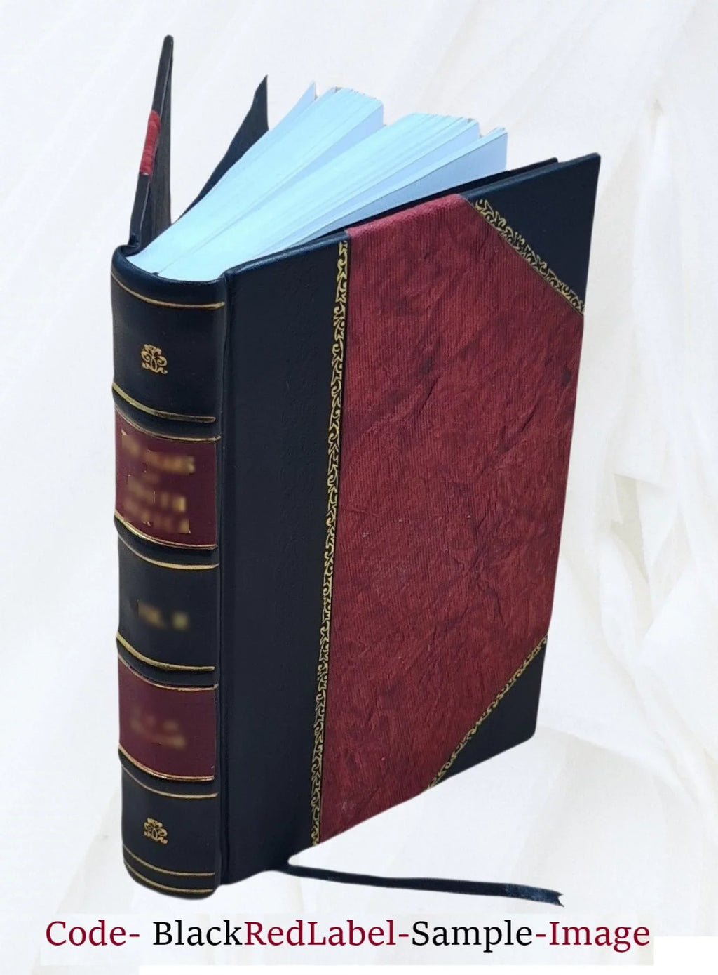 Alethea : at the parting of the waves Volume v.1 [Leather Bound]