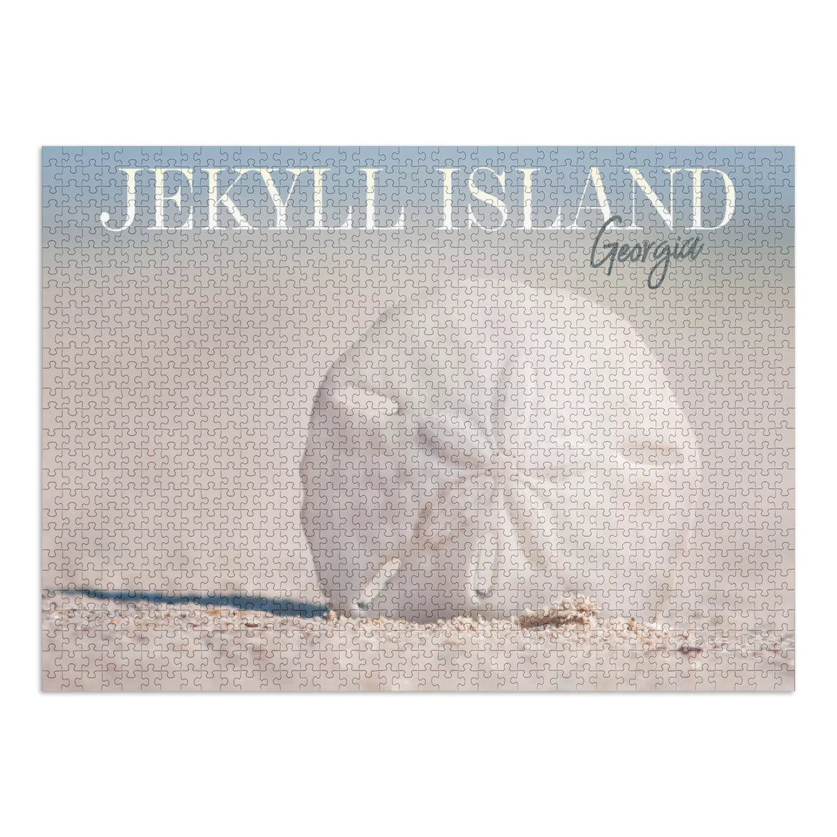 Jekyll Island, Georgia, Sand Dollar on Beach (1000 Piece Puzzle, Size 19x27, Challenging Jigsaw Puzzle for Adults and Family, Made in USA)