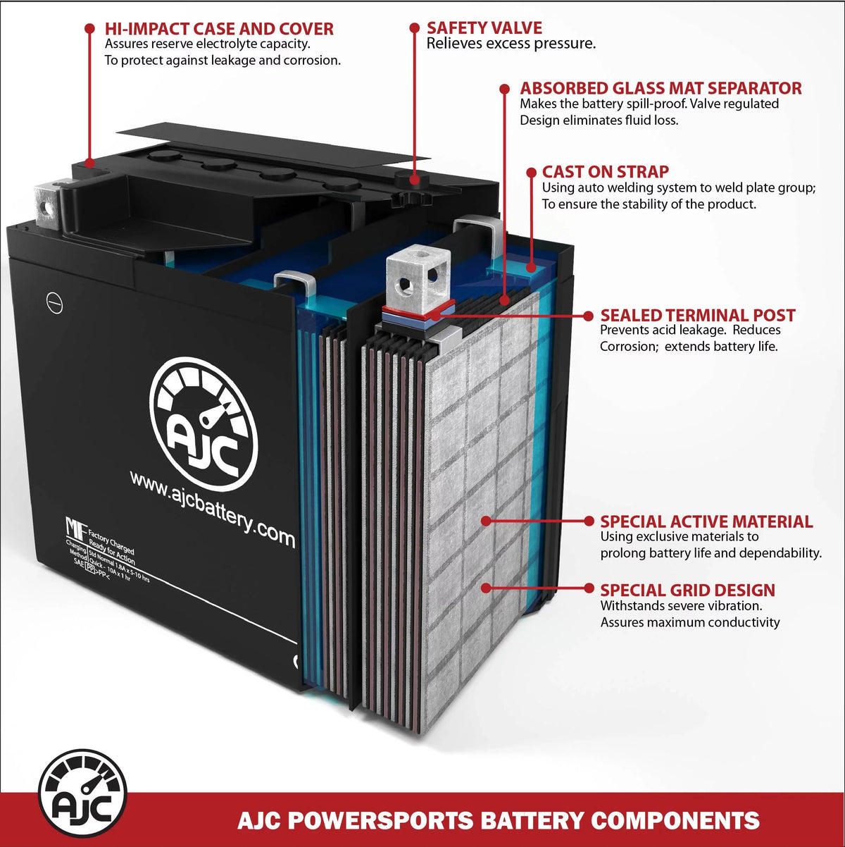 AJC Battery Compatible with BRP (Ski-Doo) GTx 550 550CC Snowmobile Replacement Battery (2009)