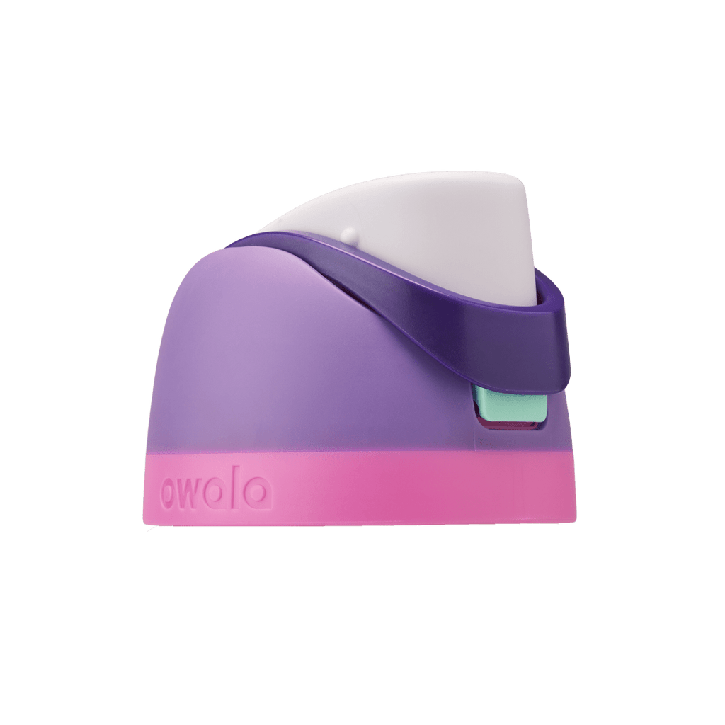 Brunch Bunch