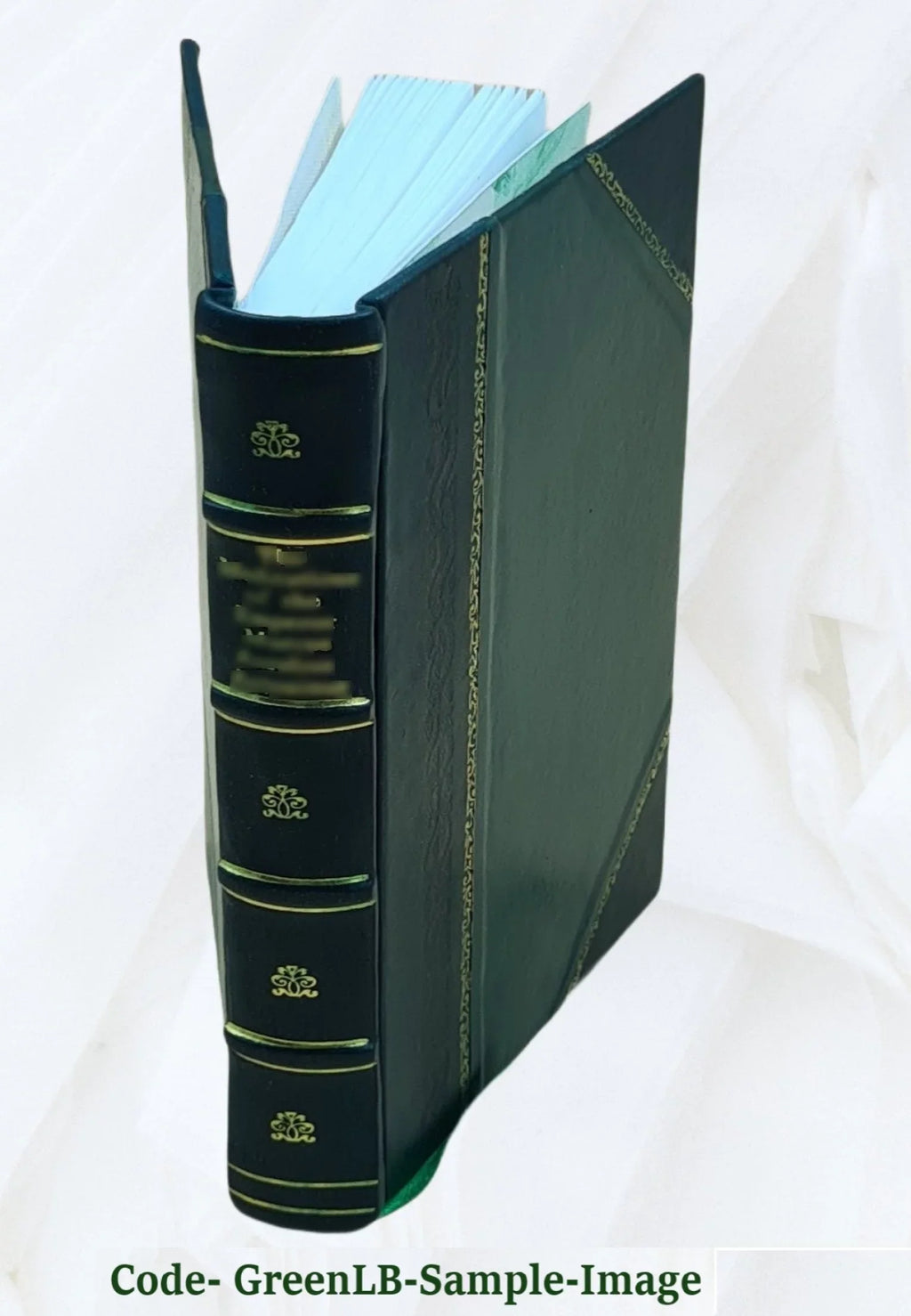 Sucessos y prodigios de amor : en ocho nouelas exemplares / por el doctor Iuan Perez de Montaluan ... 1626 [Leather Bound]