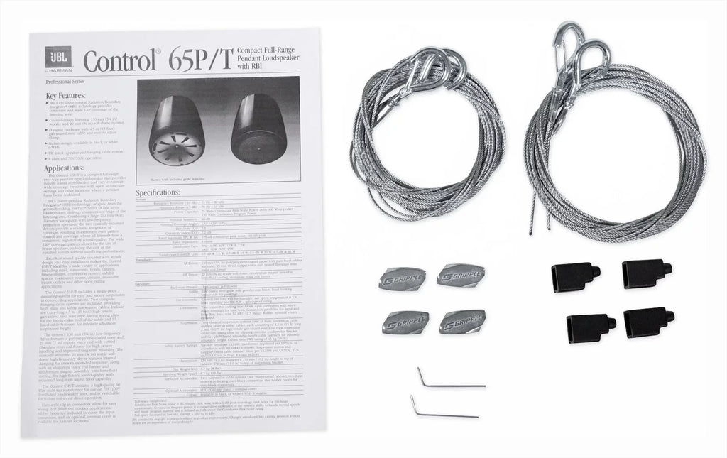 4-Zone Matrix Multi Source Commercial Amplifier+(6) JBL White Pendant Speakers